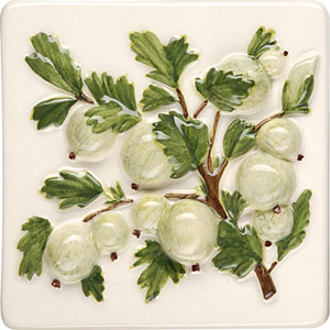 Tile for kitchen floor or backsplash: coupe de fruit clematis pore