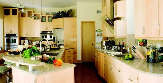 Kitchen of the Month - February 2010 Picture 1