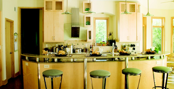 Kitchen of the Month - February 2010 Picture 2