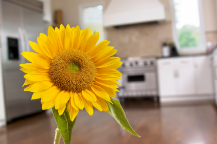Introduction to having Green Kitchens